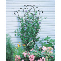 /msite/products/detail/productid/54066335/id/540892.html